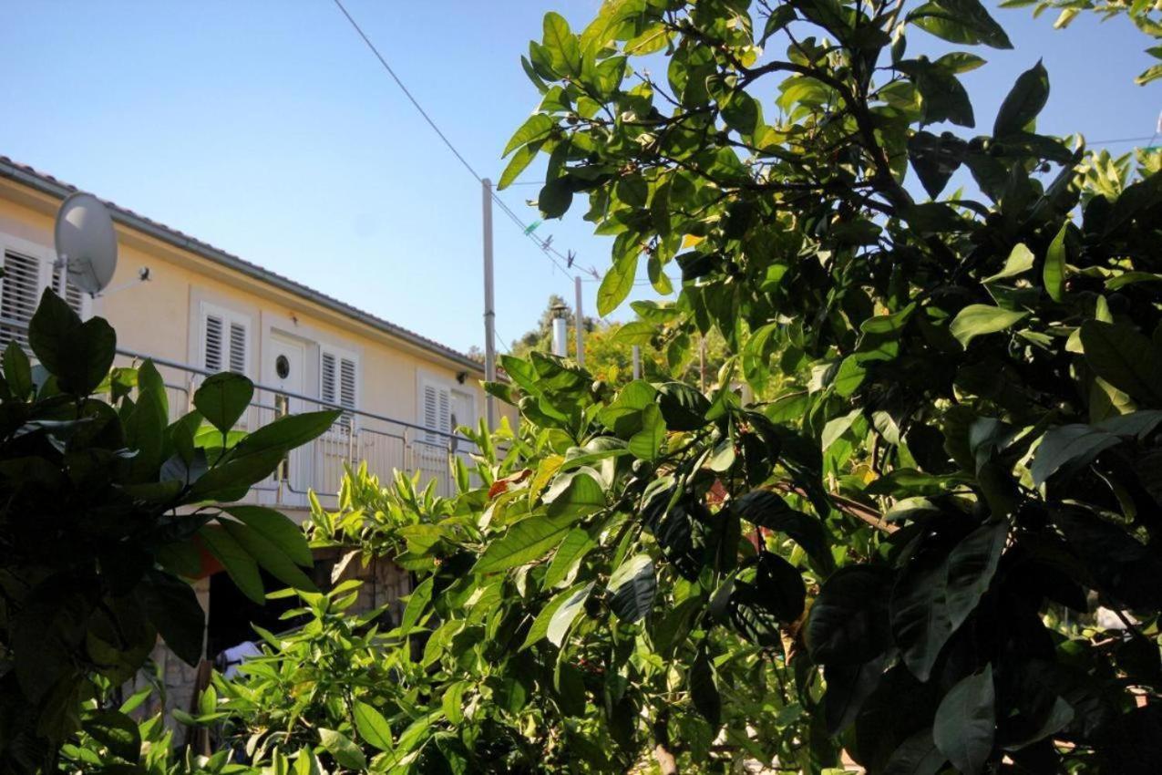 Guesthouse Gradina Lovište Exterior foto